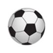 邵阳队